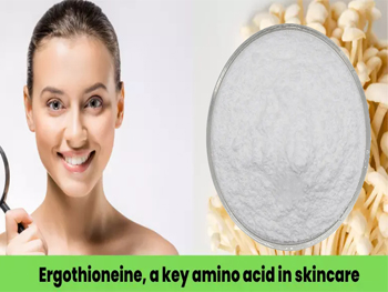 L-Ergothioneine Skin Care